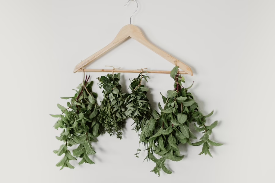 Healing from the Earth: Exploring the Benefits of Herbal Remedies